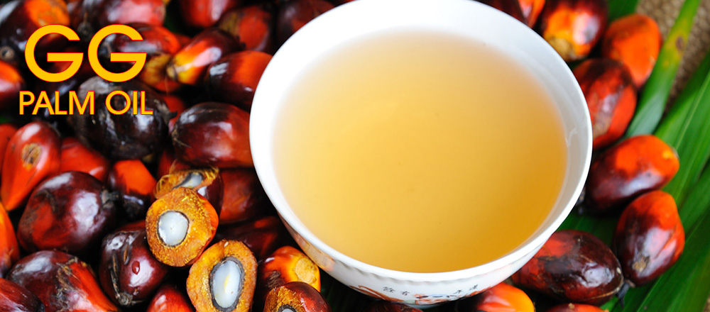 GG Palm Oil